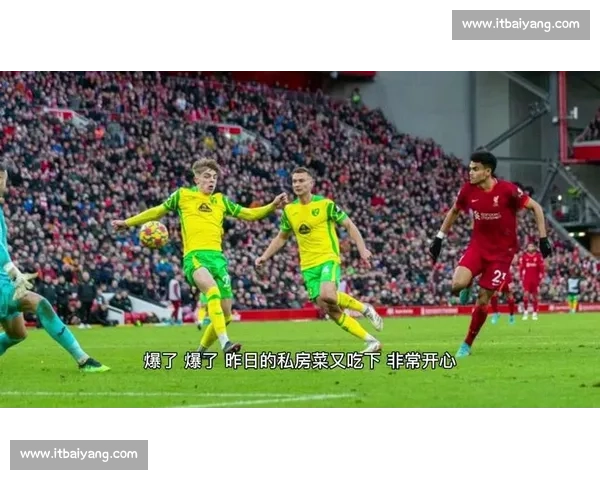 莱切斯特城对阵狼队比赛效果解析与走势前瞻全面解读战术关键影响